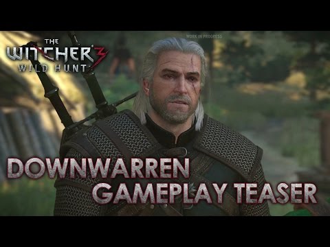 the witcher 3 wild hunt pc requirements