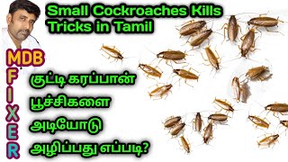 குட்டி கரப்பான் பூச்சிகளை அழிப்பது எப்படி/Cockroaches kills Trick in Tamil/insects Kills@MDBfixer