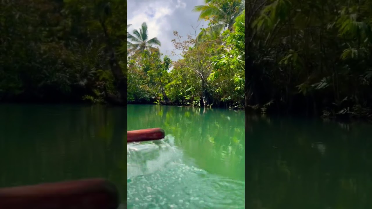 YouTube Short thumbnail