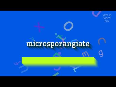 MICROSPORANGIATE - How to pronounce it?