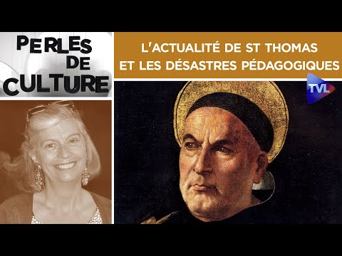 [Rediffusion] L'actualité de St Thomas et les désastres pédagogiques - Perles de Culture n°307 - TVL