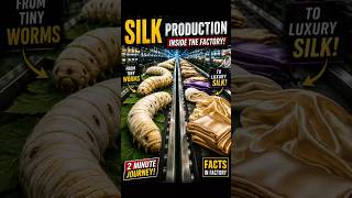 Amazing Secret Behind Every Silk Dress | From Cocoon to Silk #shorts #FactsInFactory