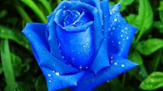 color me badd for all eternity