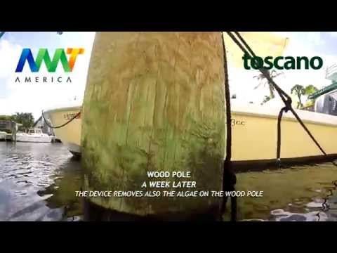 Test Dumo ACM antifouling on a wood pole