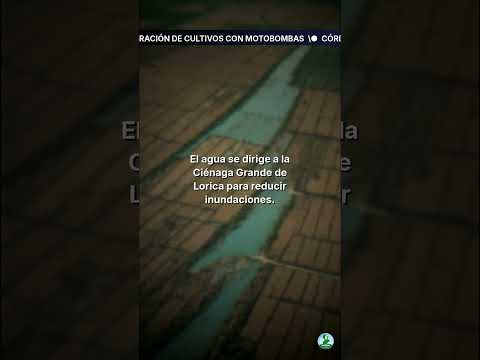 Córdoba inicia recuperación de cultivos con motobombas