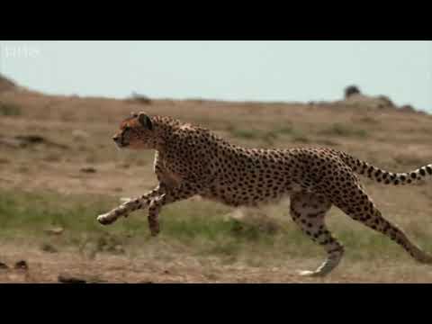 Stephen J. Anderson - African skies