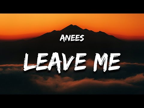 anees - leave me (Lyrics) "i don't like the person that i am when i hurt you"