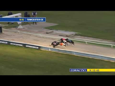 GREYHOUND DERBY 2022