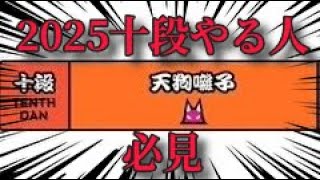 【太鼓の達人】天狗囃子をやるならこれを観ろ！【2025十段 一曲目】