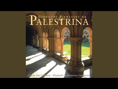 Motettorum, Book 3: No. 14, Jubilate Deo omnis terra