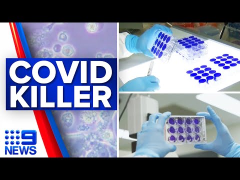 Queensland researchers' discover COVID-19 'heat-seeking missile' | coronavirus  | 9 News Australia