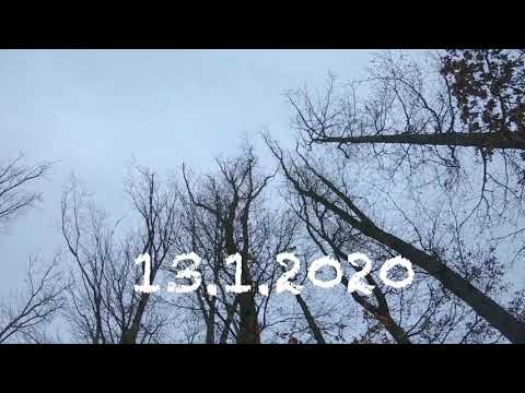 ZTRATIL SEM SE V LESE ⁉️