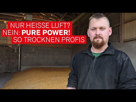 Ernteguttrocknung mit Sonne & Hackgut: Ein kraftvolles Duo
