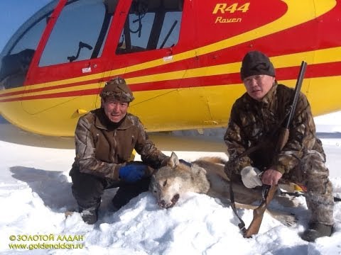 Yakutia. Охота на волков в Якутии. Эвенки. GoldenAldan.ru