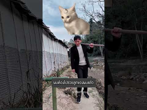 ลูกกระต่ายอยู่ในกอไผ่! ภารกิจช่วยเหลือสุดวุ่นวาย