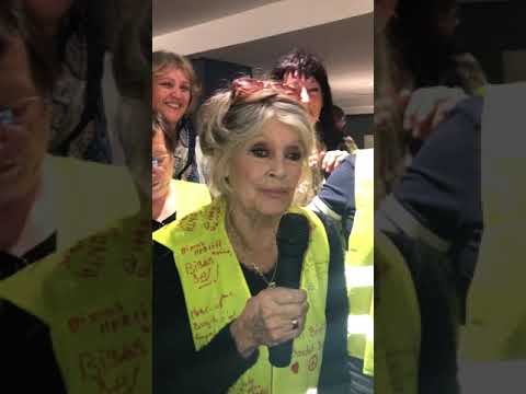 Brigitte Bardot avec les "gilets jaunes": "Ne lâchez rien, je vous soutiens à fond"