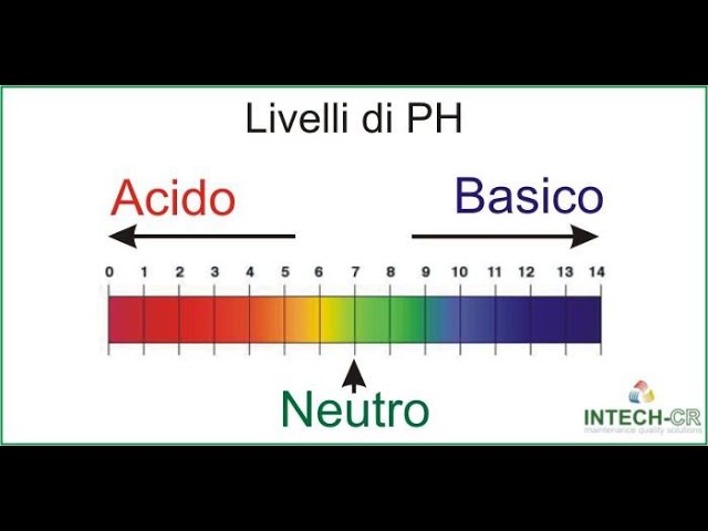 Creazione di indicatore fai da te, col cavolo rosso + esperimento