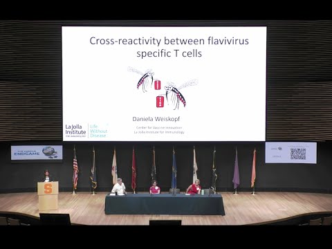 Cross-reactivity between flavivirus specific T cells