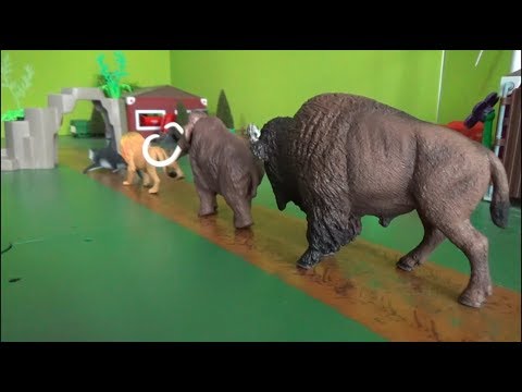 헬로카봇 4마리 동물 동굴 통과 변신 장난감 놀이 Hello Carbot 4 Animals Cave Pass Transformation toys play