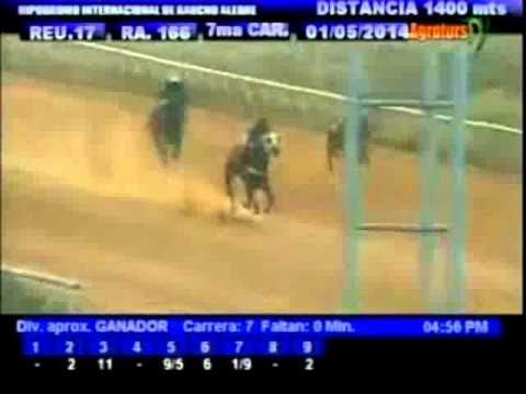 Resumen Jueve, 01 de Mayo de 2014 - Rancho Alegre