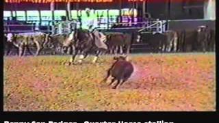 Video van Peppy San Badger