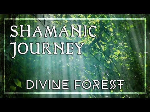 SHAMANIC JOURNEY • Divine Forest Drumming • Power of Nature • Mother Earth Reconnection