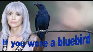 IF YOU WERE A BLUEBIRD