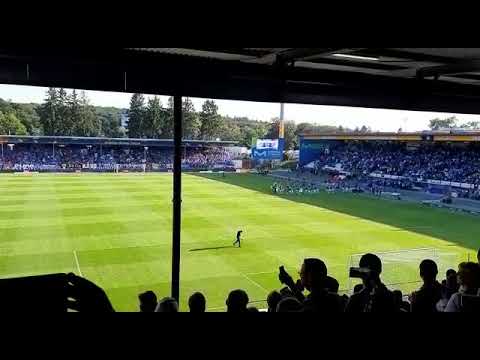 SV Darmstadt 98 - SG Dynamo Dresden: Einlauf