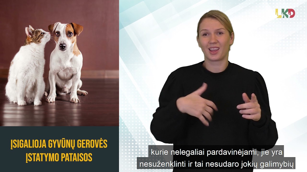 Seimas priėmė Gyvūnų gerovės įstatymo pataisas