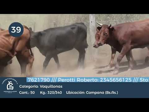 Lote Vq Inv - Campana - Bs As