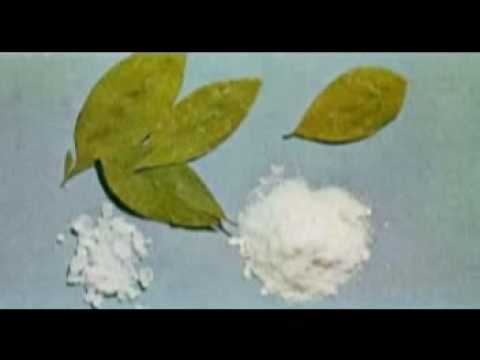 EL NEGOCITO - LOS CAMBITAS