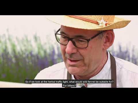 Crossover 54 I Fennel salami & Gin Reserva (wood aged)