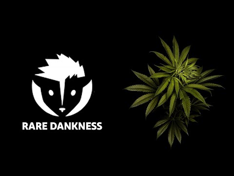 Rare Dankness™: Unveiling the Exquisite World of Coveted Cannabis Genetics Video