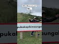 Can You Pronounce This The Longest Place Name In The World NZAdventures LongestName Fyp