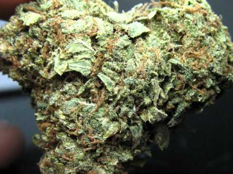 CAPLETON&MOJO "Fire Pan Dem Nastiness"Sprited Riddim