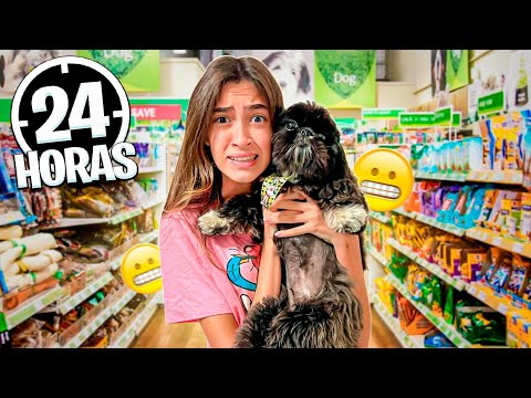 24 HOURS BEING @Lailabrandao's DOG SITTER