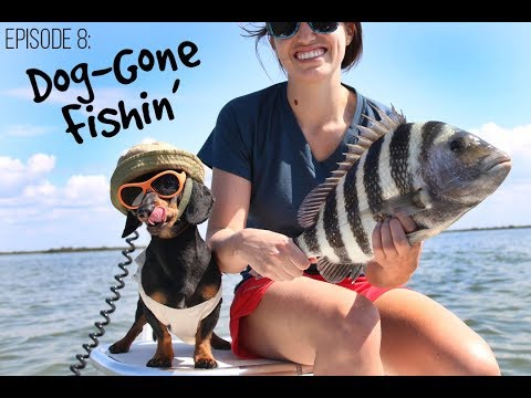 Episode 8: Dog-Gone Fishin'