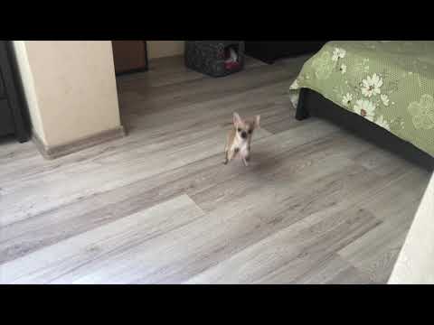 Весь дом держится на этих хрупких плечах!