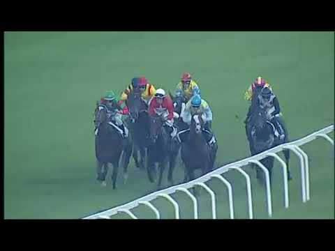 2017.10.15 Premio Omenoni (ITA) - My Lea