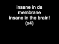 Cypress Hill - insane in the brain Lyrics 