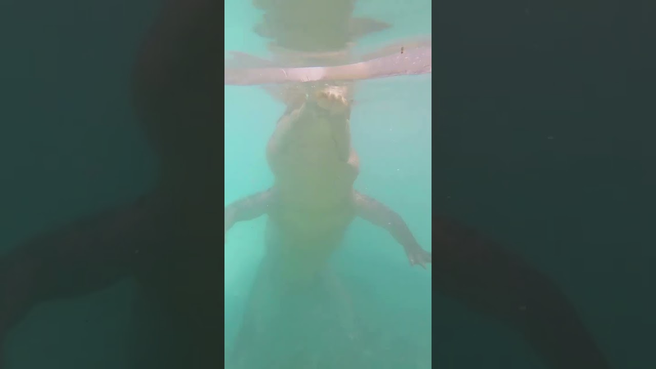 YouTube Short thumbnail