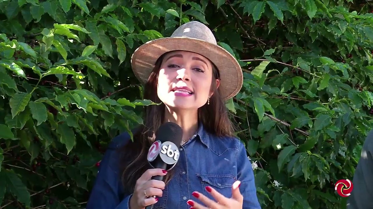 Chuvas atrasam colheita e provocam florada na região