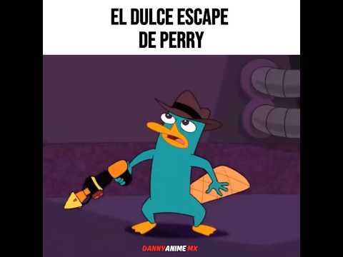 EL DULCE ESCAPE DE PERRY😆