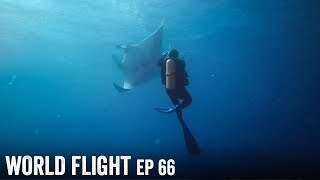 GIANT MANTA RAY DIVING!  - World Flight Episode 66