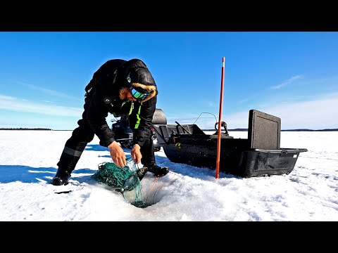 KALAA INARIJÄRVELTÄ - AMMATTIKALASTAJAN MATKASSA