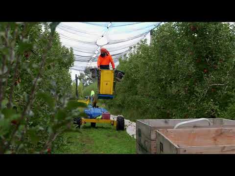 105-131 Prentice Road, Orrvale, VIC 3631, 3房, 2浴, Lifestyle Property