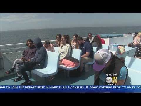 Fire Island Ferry Cuts Late Night Service