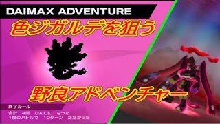 【ポケモン盾】色ジガルデをゲットしにいく