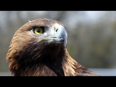 #SG Bremthal 14.04.2021 , On-Tour-Camp in Bremthal, #Fußballschule Eintracht Frankfurt