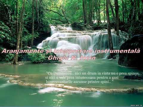 CU ISUS CAT TRAIESC EU - Nelu Mot